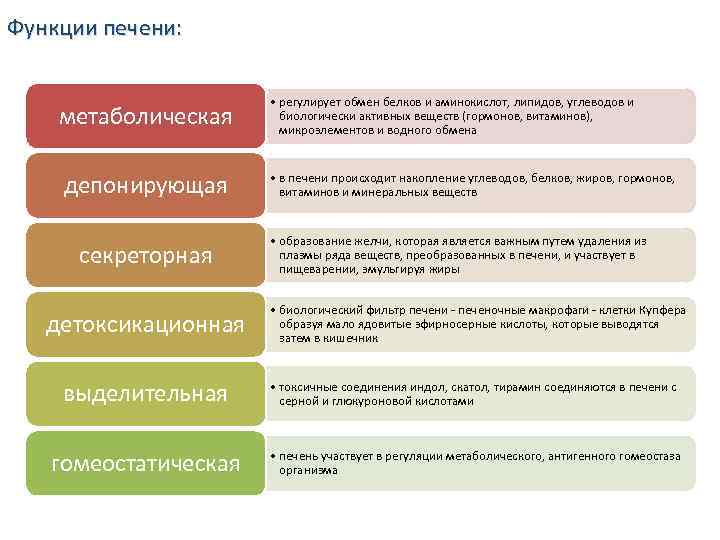 Функции печени: метаболическая депонирующая секреторная детоксикационная • регулирует обмен белков и аминокислот, липидов, углеводов