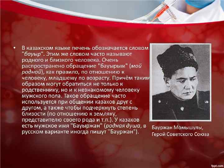 Бауыржан момышулы презентация