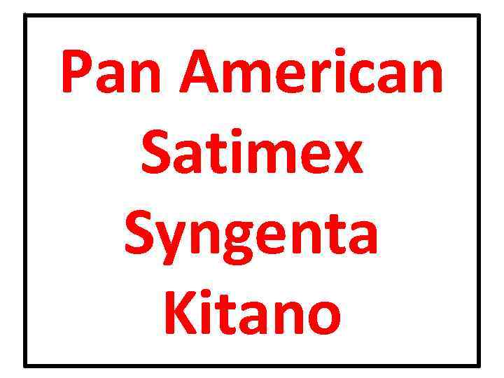 Pan American Satimex Syngenta Kitano 