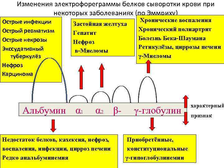 Изменения электрофореграммы белков сыворотки крови при некоторых заболеваниях (по Эммриху) Острые инфекции Острый ревматизм