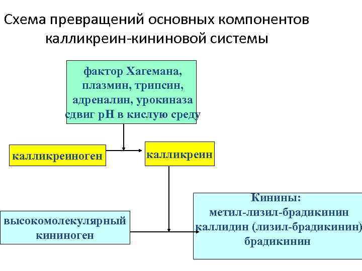 Схема превращений основных компонентов калликреин-кининовой системы фактор Хагемана, плазмин, трипсин, адреналин, урокиназа сдвиг р.