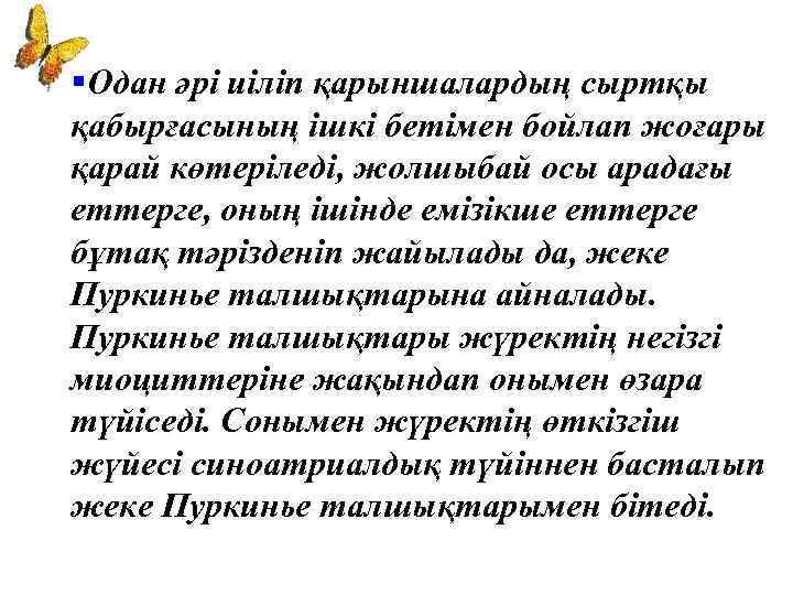§Одан әрі иіліп қарыншалардың сыртқы қабырғасының ішкі бетімен бойлап жоғары қарай көтеріледі, жолшыбай осы