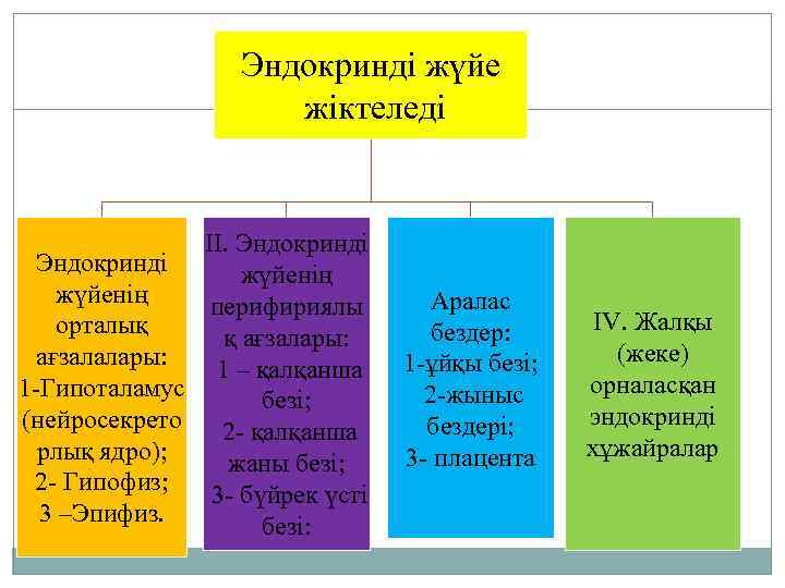 Эндокринді жүйе жіктеледі ІІ. Эндокринді жүйенің перифириялы орталық қ ағзалары: ағзалалары: 1 – қалқанша