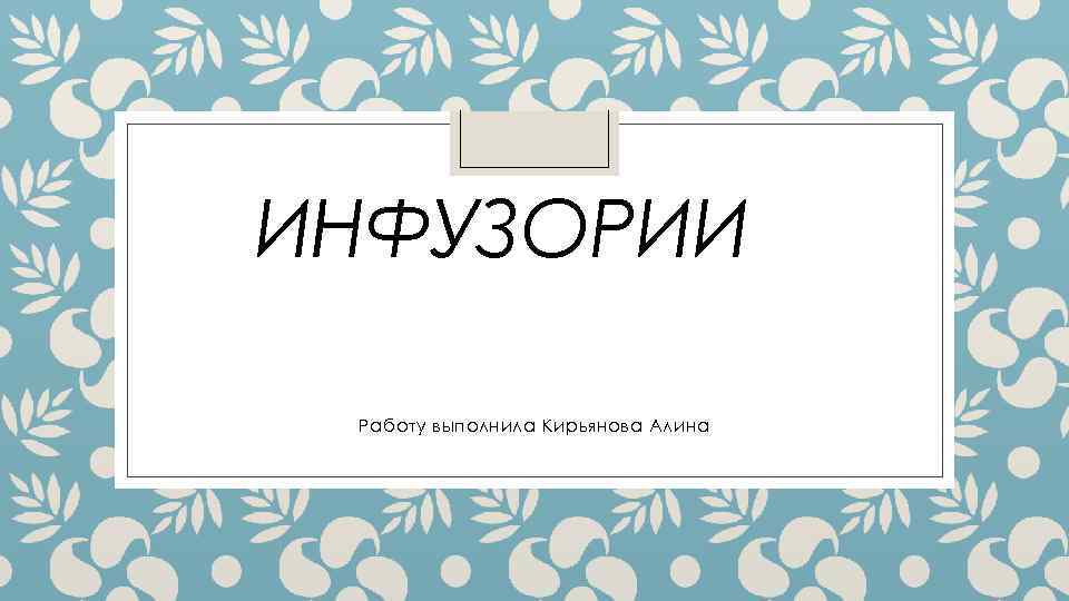 ИНФУЗОРИИ Работу выполнила Кирьянова Алина 