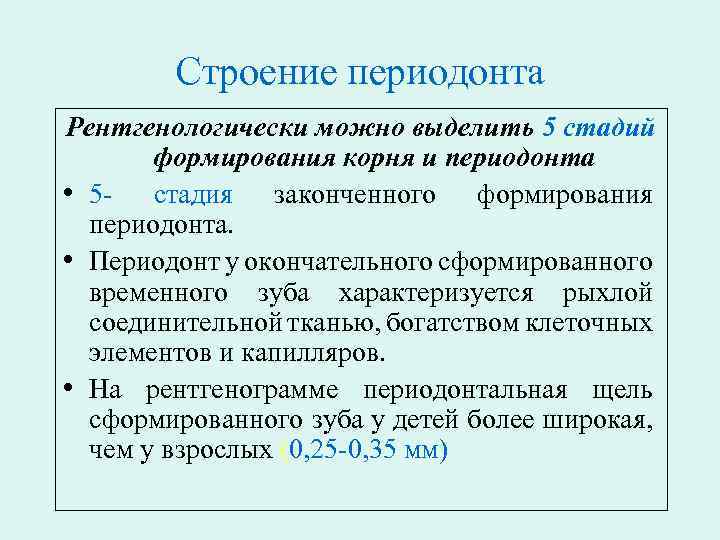 Строение периодонта Рентгенологически можно выделить 5 стадий формирования корня и периодонта • 5 -