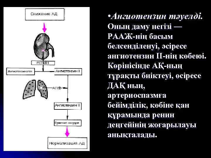  • Ангиотензин тәуелді. Оның даму негізі — РААЖ-нің басым белсенділенуі, әсіресе ангиотензин ІІ-нің