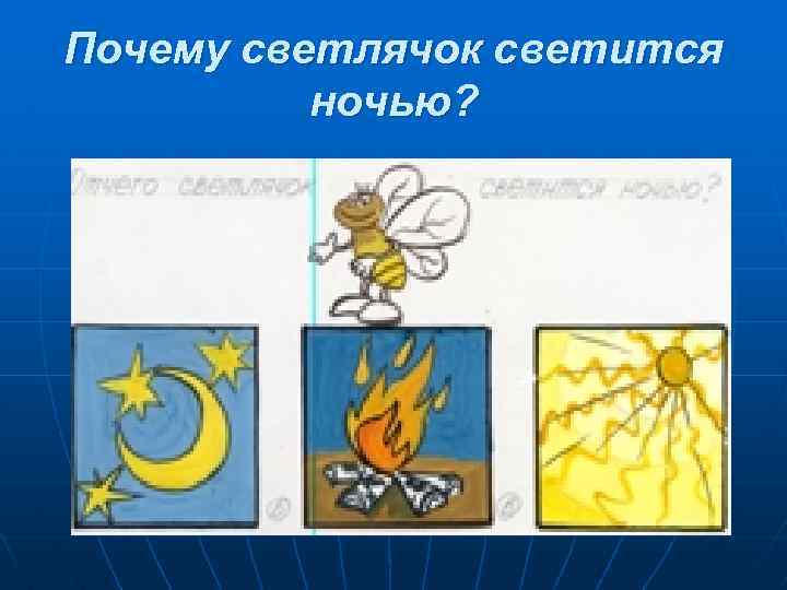 Почему светлячок светится ночью? 