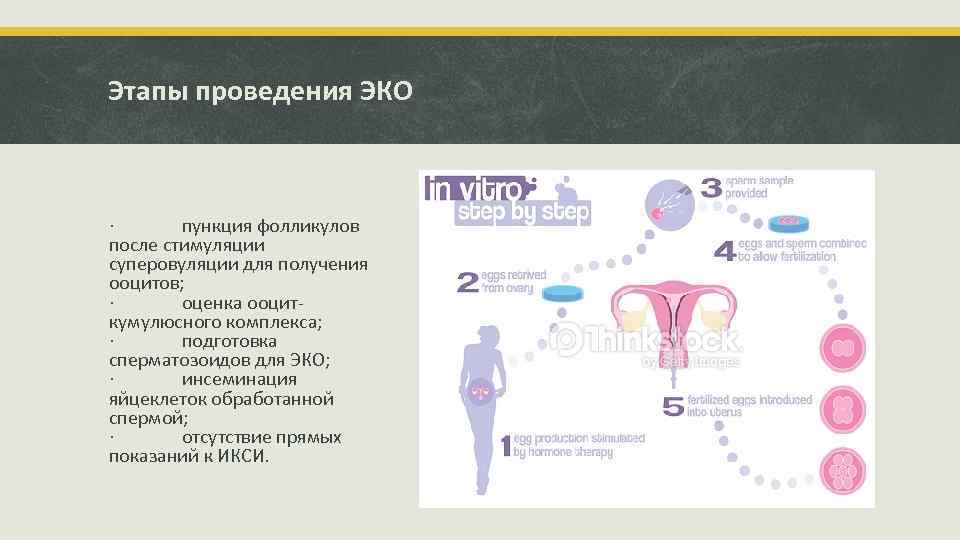 Этапы проведения ЭКО · пункция фолликулов после стимуляции суперовуляции для получения ооцитов; · оценка