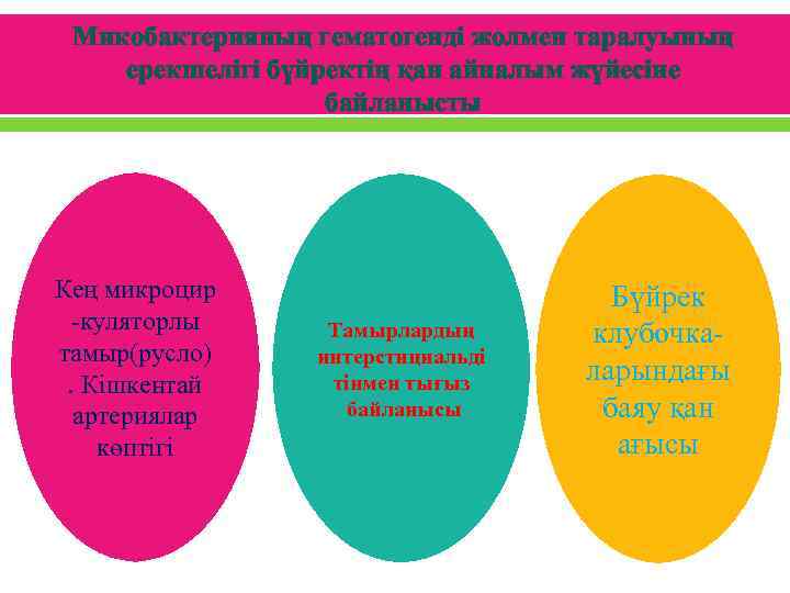 Микобактерияның гематогенді жолмен таралуының ерекшелігі бүйректің қан айналым жүйесіне байланысты Кең микроцир -куляторлы тамыр(русло).