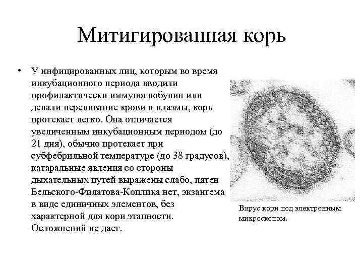 Митигированная корь • У инфицированных лиц, которым во время инкубационного периода вводили профилактически иммуноглобулин