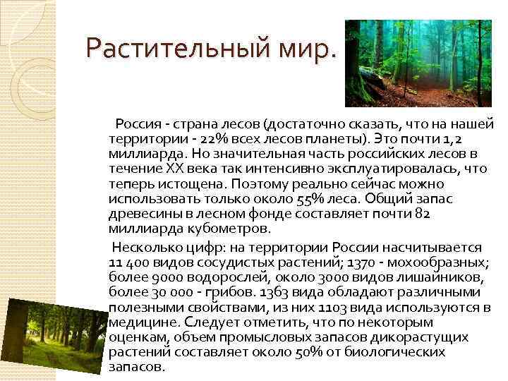 Растительный мир. Россия - страна лесов (достаточно сказать, что на нашей территории - 22%