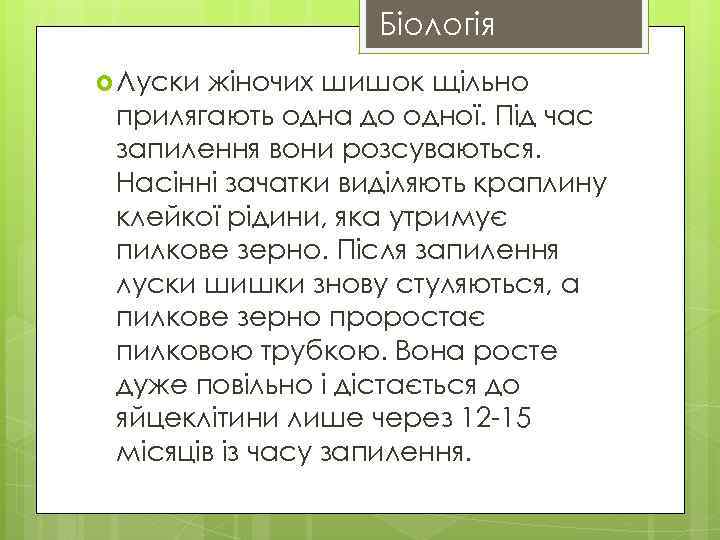 Біологія Луски жіночих шишок щільно прилягають одна до одної. Під час запилення вони розсуваються.