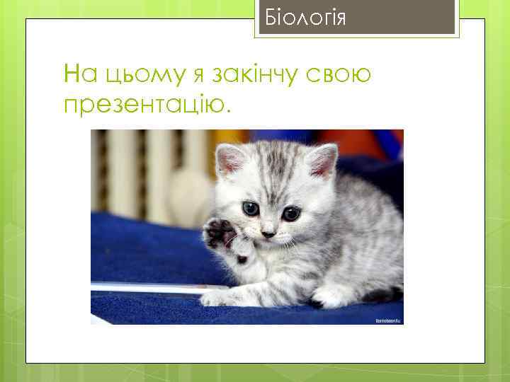 Біологія На цьому я закінчу свою презентацію. 