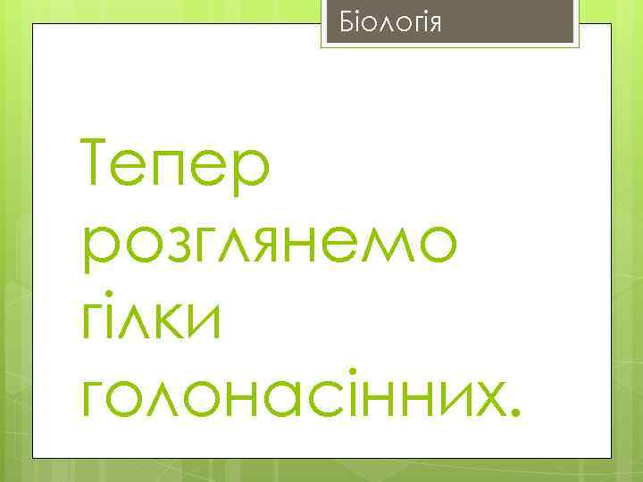 Біологія Тепер розглянемо гілки голонасінних. 