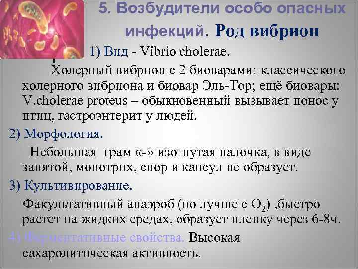 5. Возбудители особо опасных инфекций. Род вибрион 1) Вид - Vibrio cholerae. Холерный вибрион