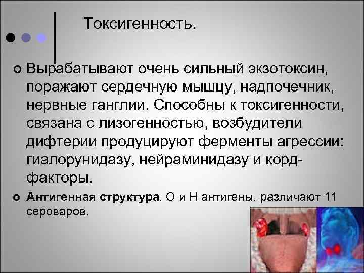 Токсигенность. ¢ Вырабатывают очень сильный экзотоксин, поражают сердечную мышцу, надпочечник, нервные ганглии. Способны к