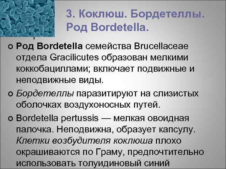 3. Коклюш. Бордетеллы. Род Bordetella семейства Brucellaceae отдела Gracilicutes образован мелкими коккобациллами; включает подвижные
