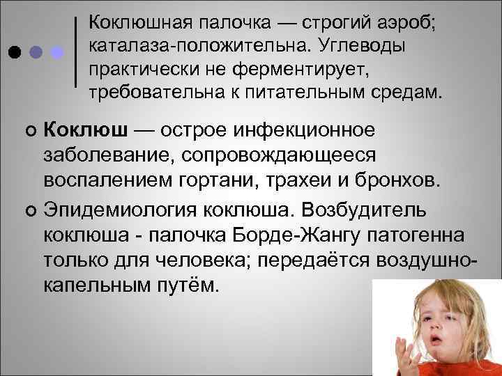 Коклюшная палочка — строгий аэроб; каталаза-положительна. Углеводы практически не ферментирует, требовательна к питательным средам.