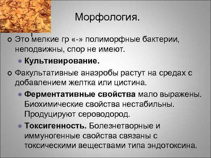 Морфология. ¢ ¢ Это мелкие гр «-» полиморфные бактерии, неподвижны, спор не имеют. l