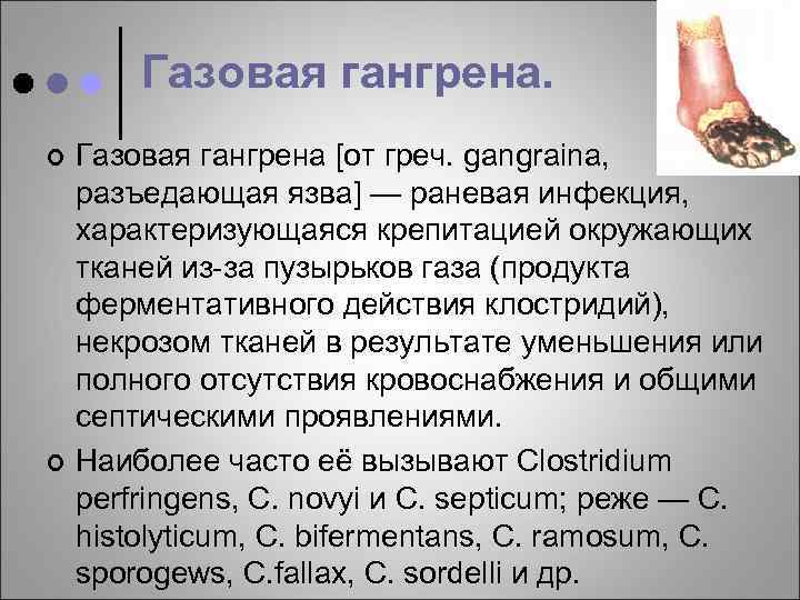 Газовая гангрена. ¢ ¢ Газовая гангрена [от греч. gangraina, разъедающая язва] — раневая инфекция,