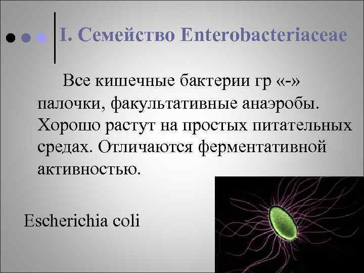 I. Семейство Enterobacteriaceae Все кишечные бактерии гр «-» палочки, факультативные анаэробы. Хорошо растут на