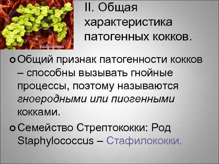 II. Общая характеристика патогенных кокков. ¢ Общий признак патогенности кокков – способны вызывать гнойные
