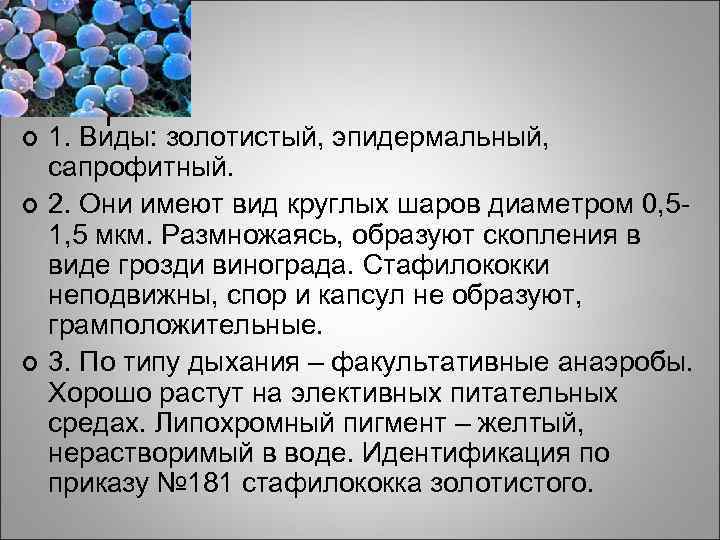 ¢ ¢ ¢ 1. Виды: золотистый, эпидермальный, сапрофитный. 2. Они имеют вид круглых шаров