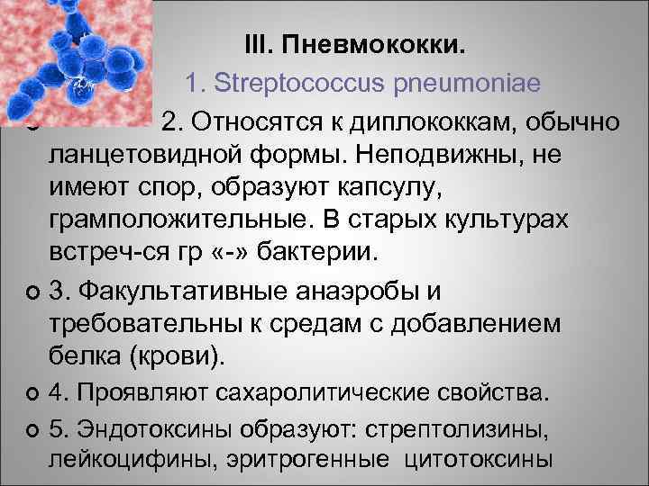  III. Пневмококки. ¢ 1. Streptococcus pneumoniae ¢ 2. Относятся к диплококкам, обычно ланцетовидной