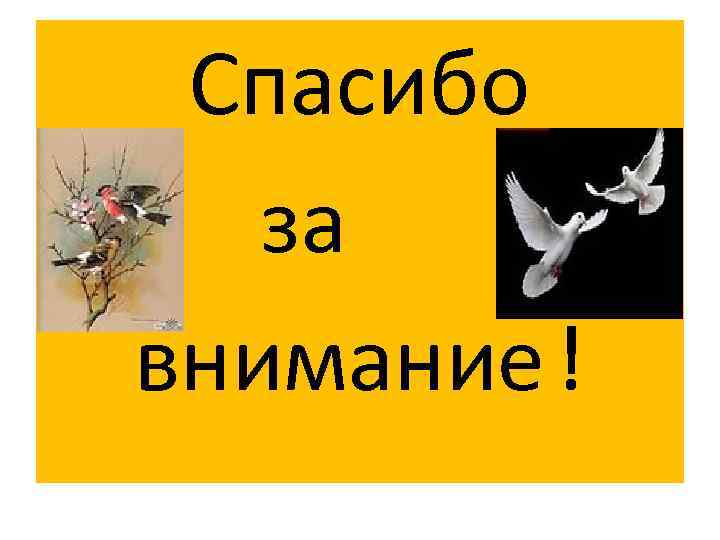 Спасибо за внимание ! 