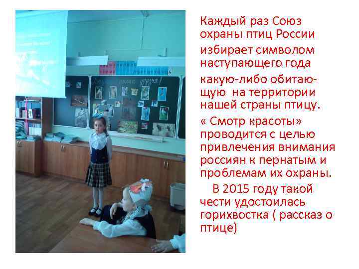 Каждый раз Союз охраны птиц России избирает символом наступающего года какую-либо обитающую на территории