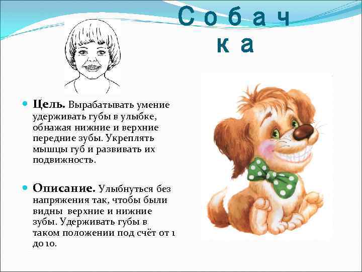 Собач ка Цель. Вырабатывать умение удерживать губы в улыбке, обнажая нижние и верхние передние