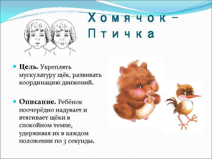 Хомячок Птичка Цель. Укреплять мускулатуру щёк, развивать координацию движений. Описание. Ребёнок поочерёдно надувает и