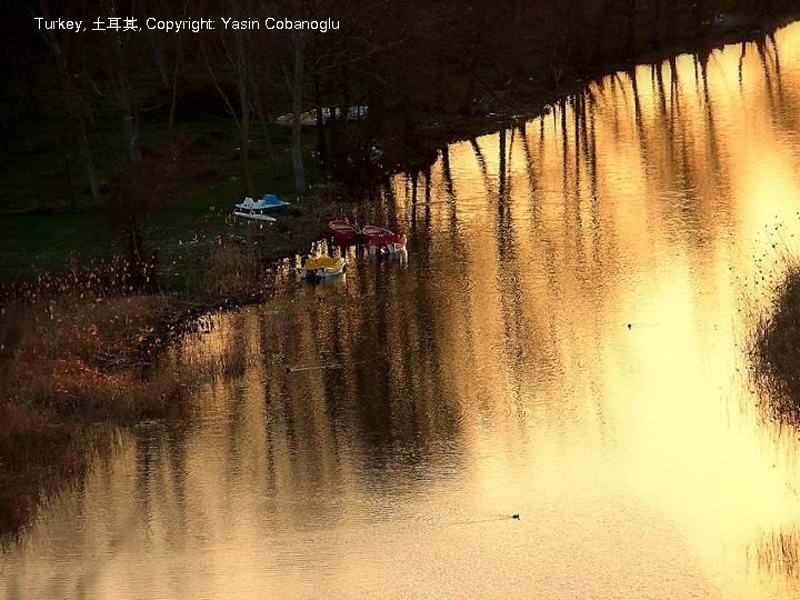 Turkey, 土耳其, Copyright: Yasin Cobanoglu 