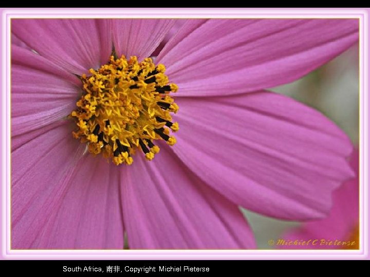 South Africa, 南非, Copyright: Michiel Pieterse 