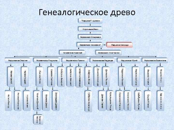 Генеалогическое древо 