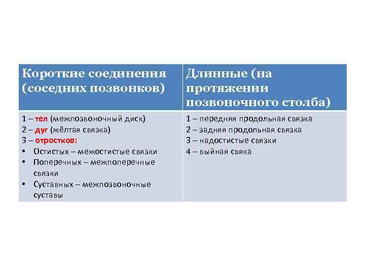 Короткие соединения (соседних позвонков) Длинные (на протяжении позвоночного столба) 1 – тел (межпозвоночный диск)