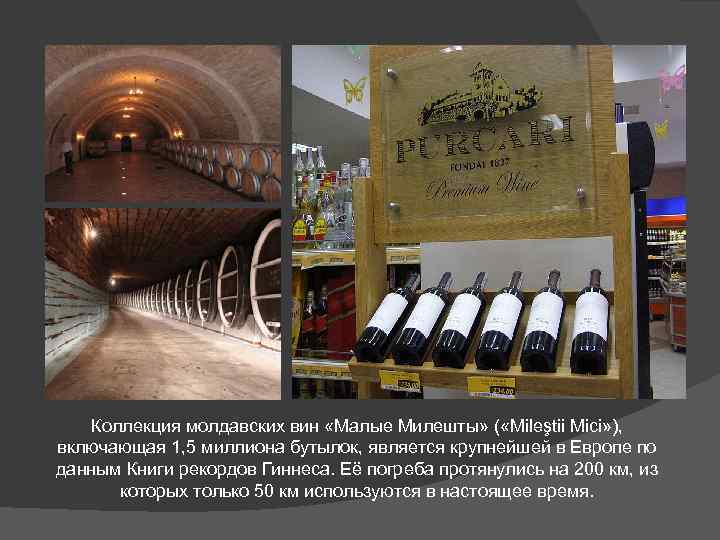 Коллекция молдавских вин «Малые Милешты» ( «Mileştii Mici» ), включающая 1, 5 миллиона бутылок,