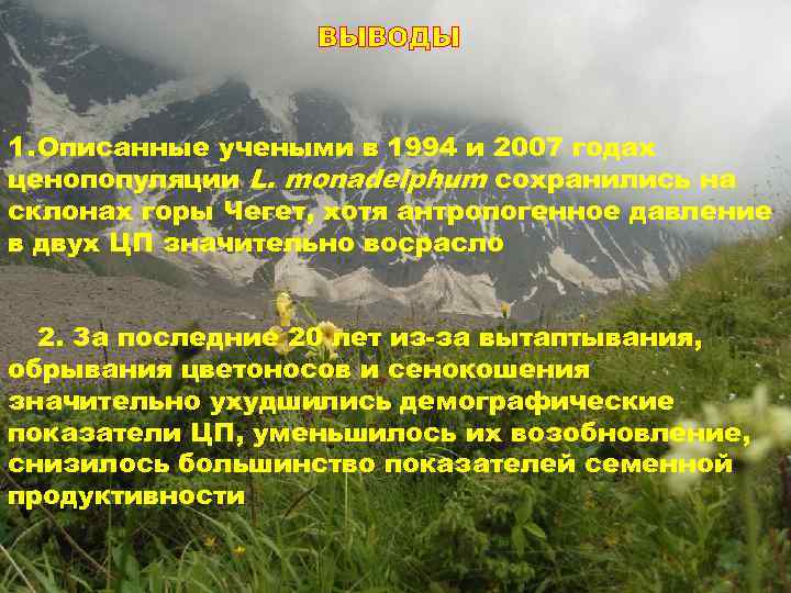 ВЫВОДЫ 1. Описанные учеными в 1994 и 2007 годах ценопопуляции L. monadelphum сохранились на