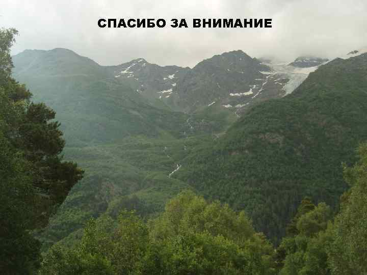 СПАСИБО ЗА ВНИМАНИЕ 