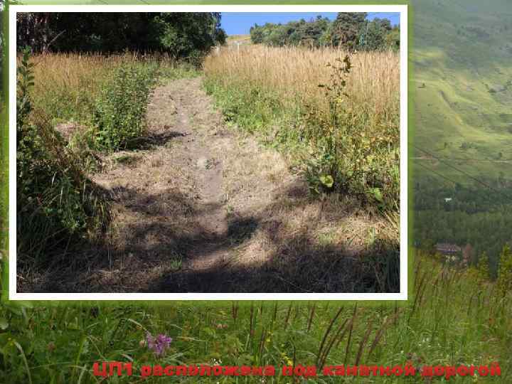 ЦП 1 расположена под канатной дорогой 