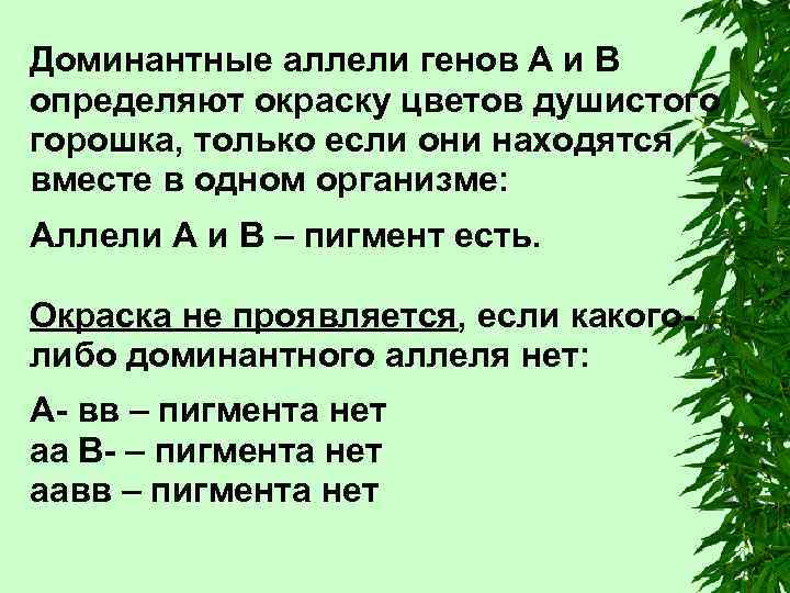 Доминантные аллели генов А и В определяют окраску цветов душистого горошка, только если они