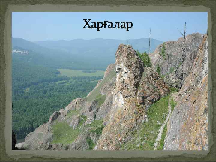Харғалар 