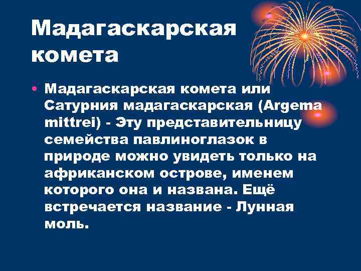 Мадагаскарская комета • Мадагаскарская комета или Сатурния мадагаскарская (Argema mittrei) - Эту представительницу семейства