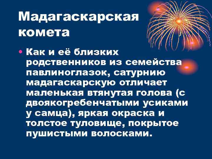 Мадагаскарская комета • Как и её близких родственников из семейства павлиноглазок, сатурнию мадагаскарскую отличает