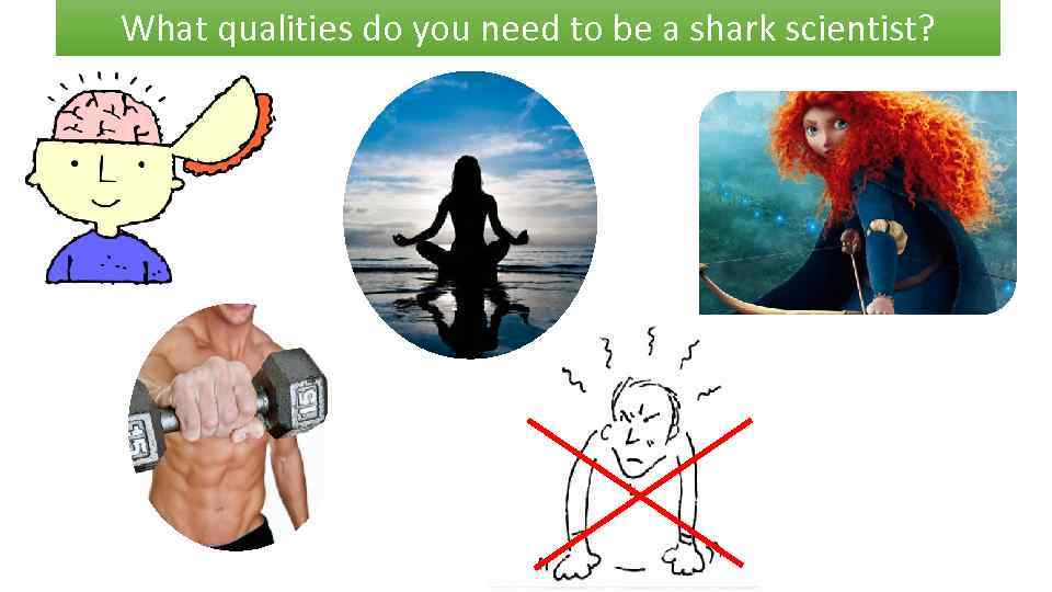 What qualities do you need to be a shark scientist? 