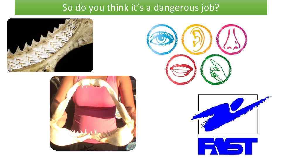 So do you think it’s a dangerous job? 