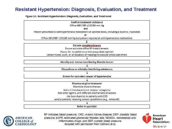 Resistant Hypertension: Diagnosis, Evaluation, and Treatment . BP indicates blood pressure; CKD, chronic kidney