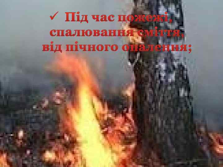 ü Під час пожежі, спалювання сміття, від пічного опалення; 