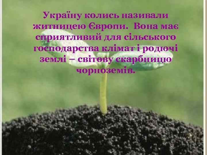 Україну колись називали житницею Європи. Вона має сприятливий для сільського господарства клімат і родючі
