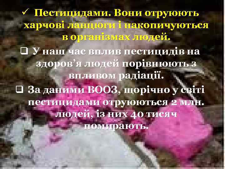 ü Пестицидами. Вони отруюють харчові ланцюги і накопичуються в організмах людей. q У наш